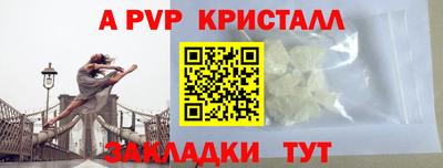 a pvp Славгород