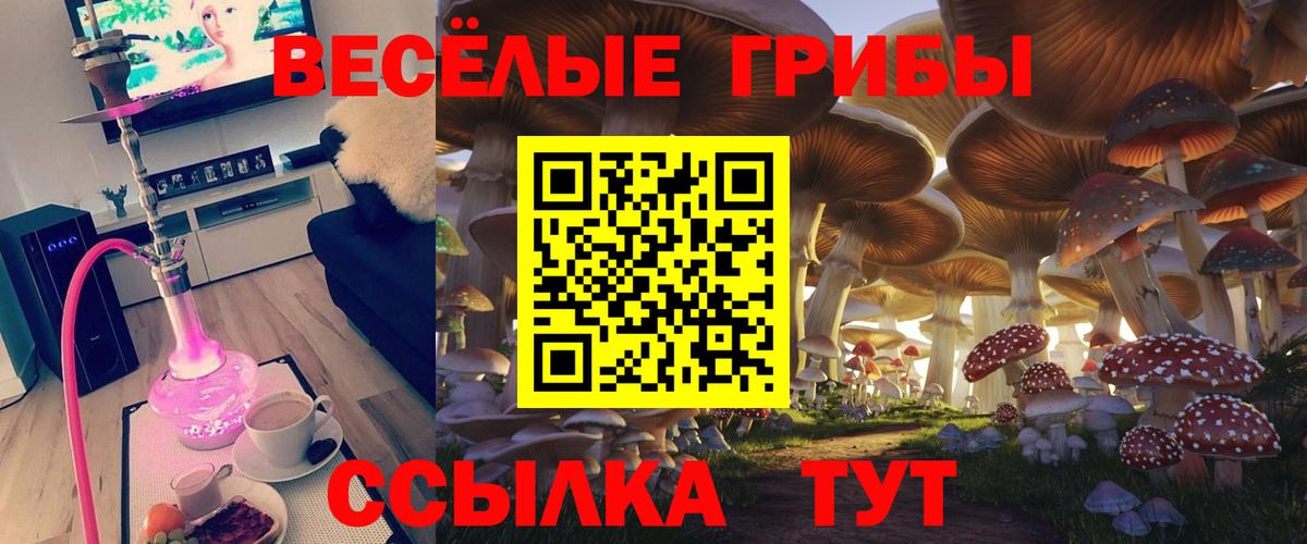 Псилоцибиновые грибы ЛСД Аргун